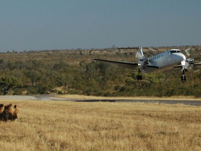 Manyeleti Game Reserve