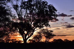 Rooipoort Nature Reserve