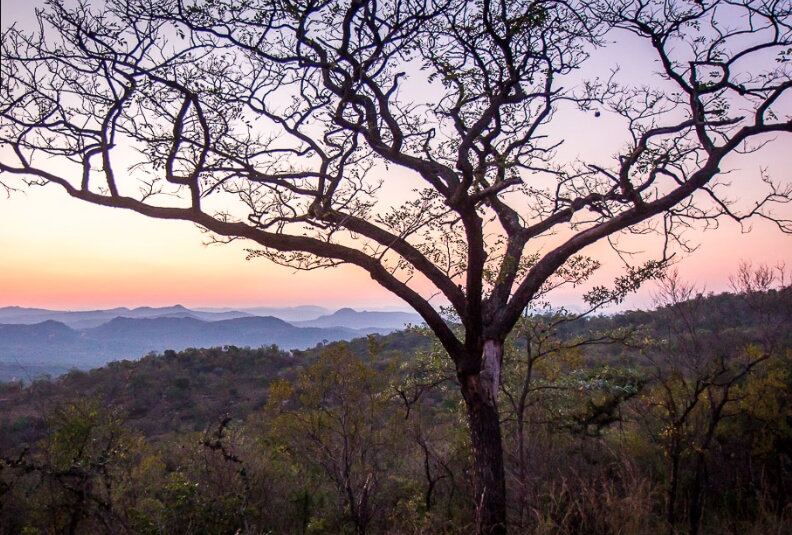 Mthethomusha Nature Reserve