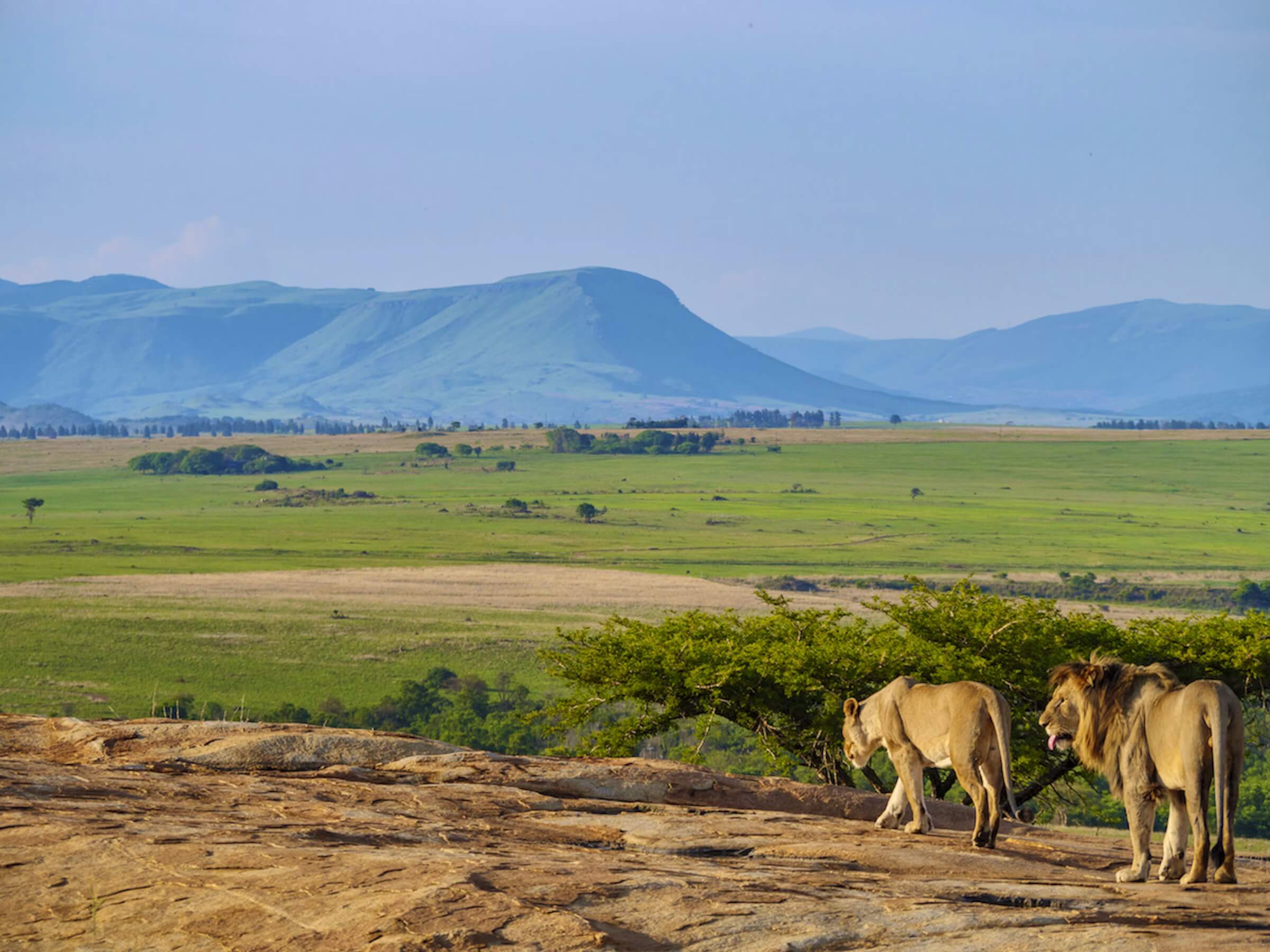 Nkomazi Game Reserve