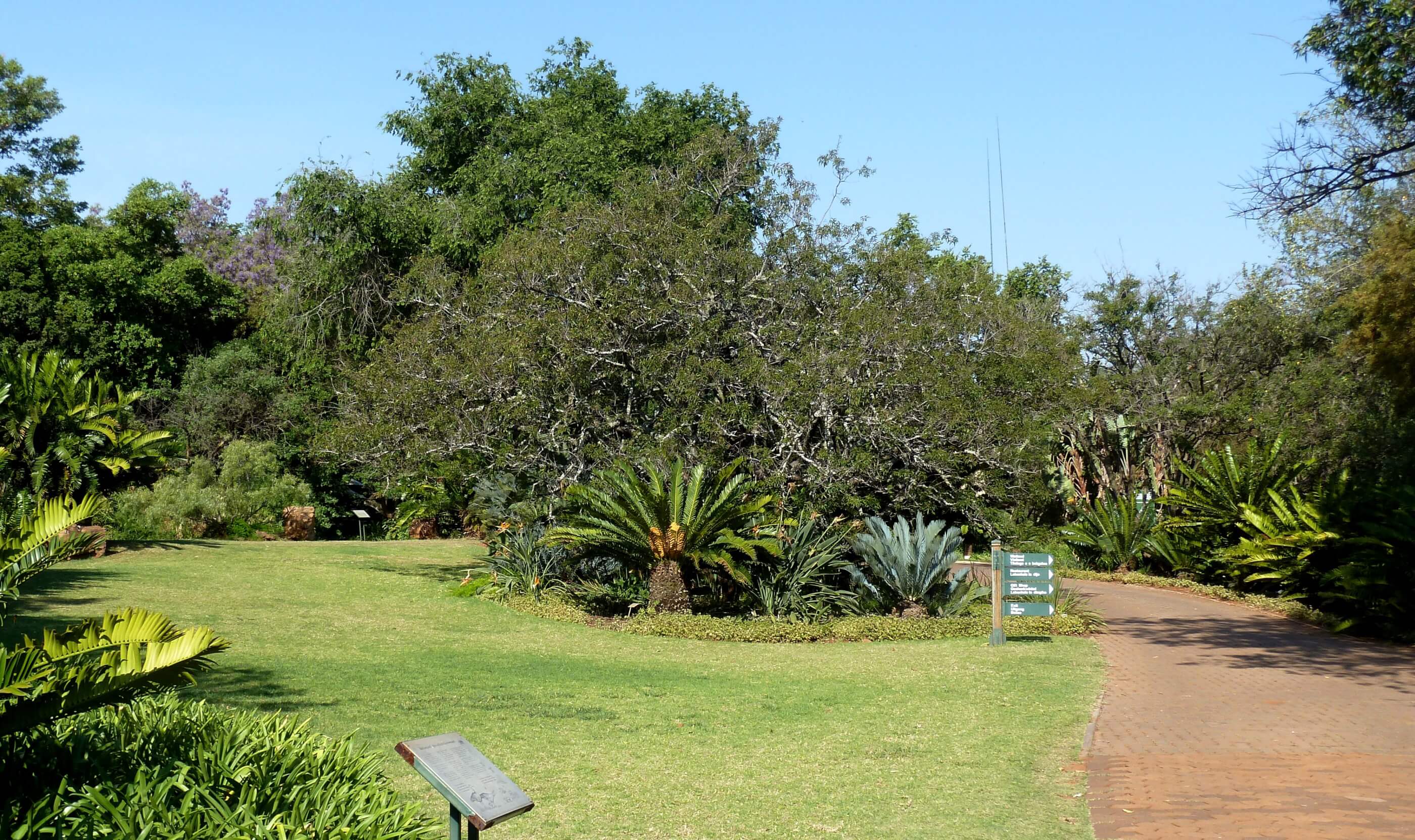 Pretoria National Botanical Garden
