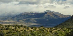 SANParks Camdeboo National Park