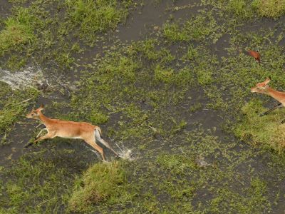 Nkasa Rupara National Park