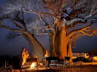 Nyae Nyae Bushman Hiking Safari