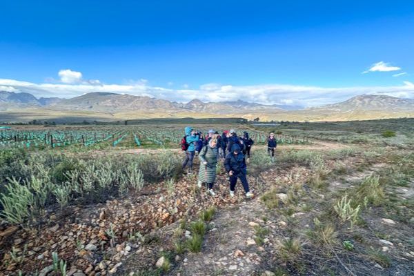 Fossil Hills Wine Walk