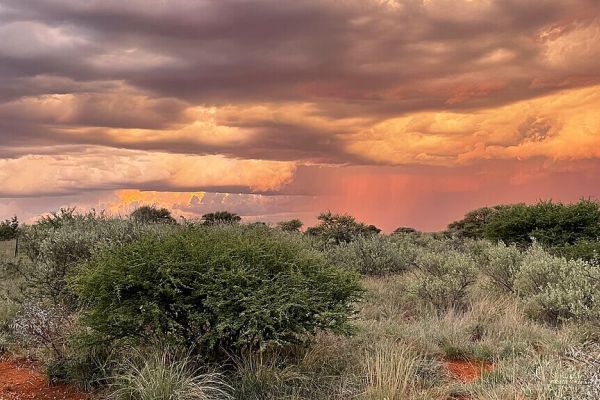 Mokala National Park