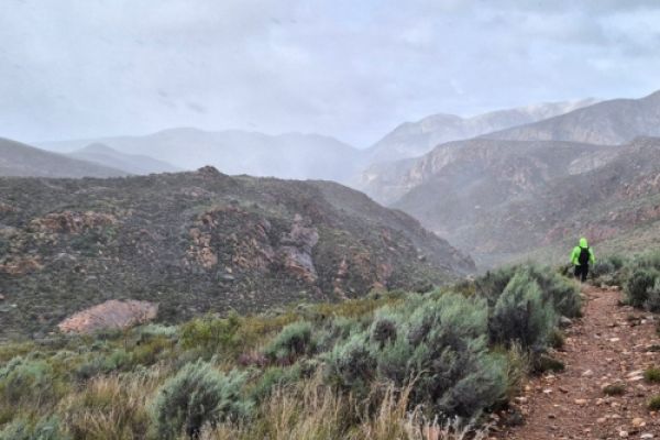 The Leopard Trail
