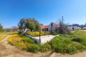 Grootvalleij Farm - Gideon