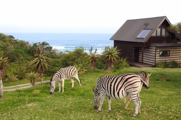 Hluleka Nature Reserve