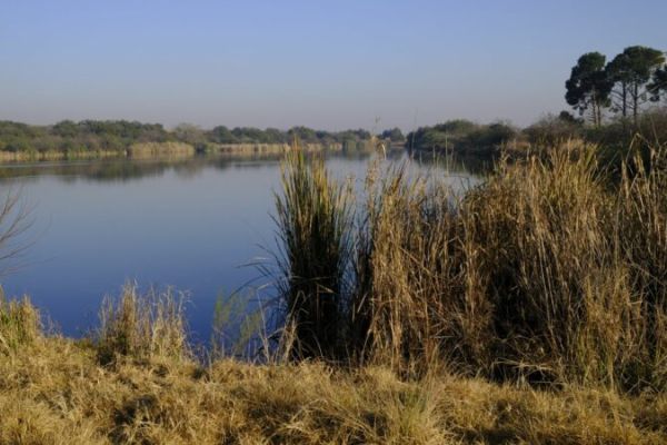 Northern Farm Nature Reserve