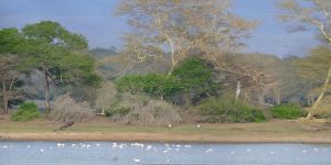 Ndumo Game Reserve