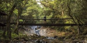 Magoebaskloof Hiking Trail