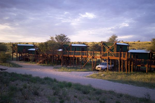 Botswana - Kgalagadi Transfrontier Park