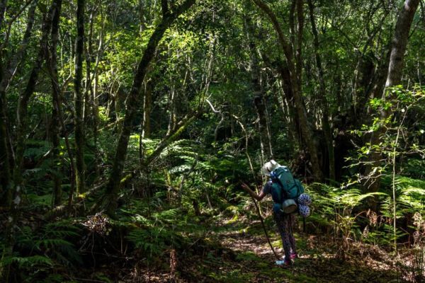 Outeniqua Hiking Trail