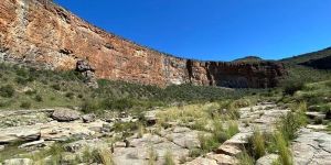 Canyon Mini Camino