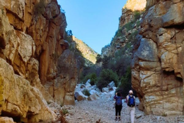 The Leopard Trail