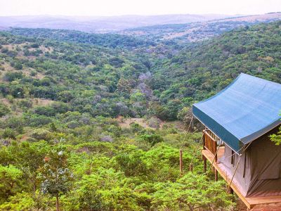 Inkwenkwezi Private Game Reserve