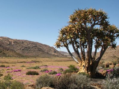 Goegap Nature Reserve