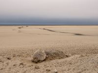 The Namib100 Hike