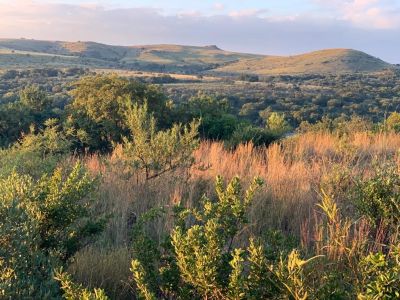 The Cradle Nature Reserve