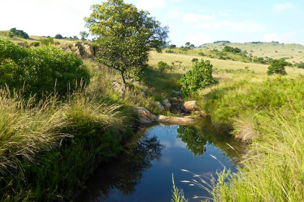 Blue Wildebeest Hiking Trail