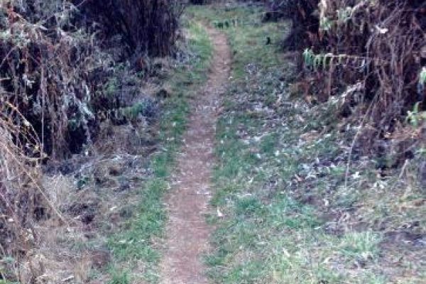 The Lower Trail to Black Pool, Maliba Lodge