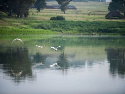 Modderfontein Nature Reserve