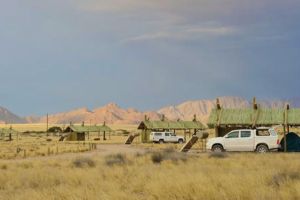 Sossus Oasis Campsite