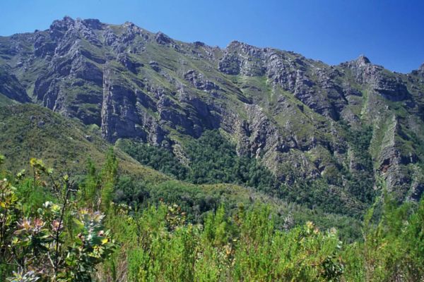 Boosmansbos Wilderness Area