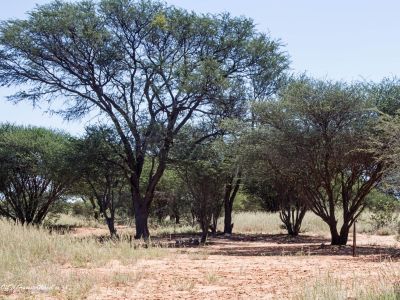 Molopo Oog Nature Reserve