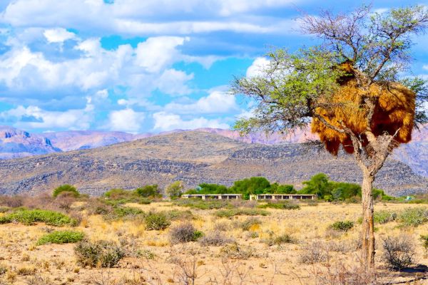 Weltevrede Guest Farm