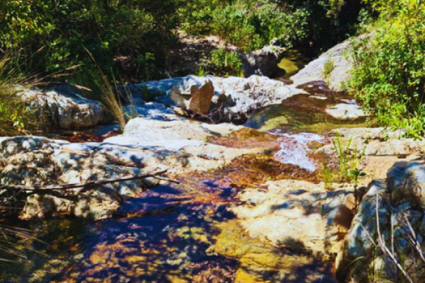 Aasvoëlbad Hiking Trails