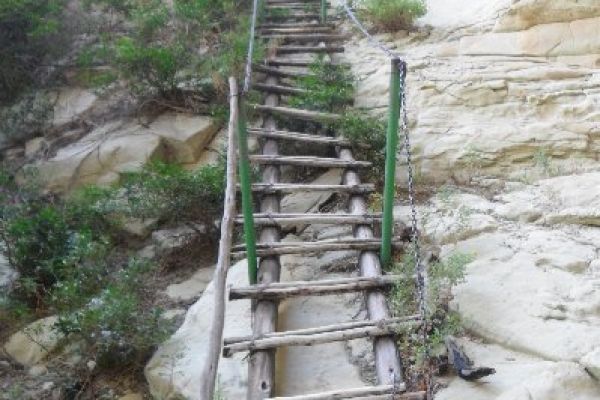 Holkrans Ladder