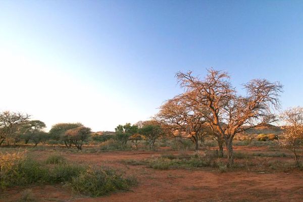 Mokala National Park