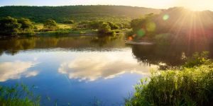 Mpongo Private Game Reserve