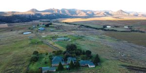 Willowdene Guest Farm