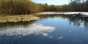 Molemane Eye Nature Reserve