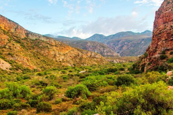 The Leopard Trail