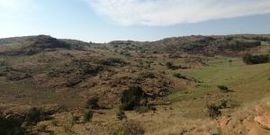 Alice Glockner Nature Reserve
