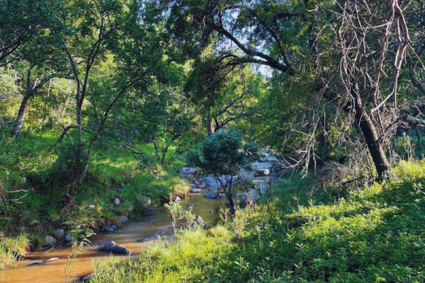 Spitskop Game Farm Hiking Trails