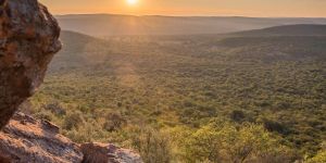 Lindani Game and Lodges