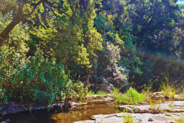 Aasvoëlbad Hiking Trails
