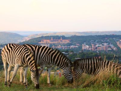 Klapperkop Nature Reserve