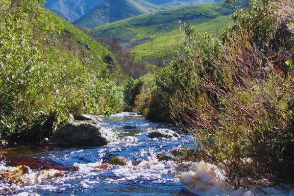 Tsitsikamma Hiking Trail