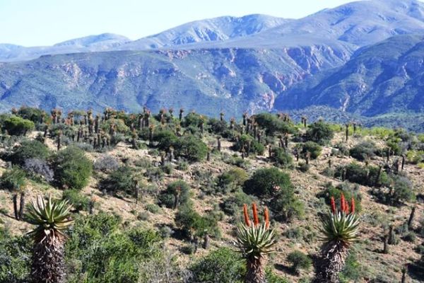 Waterkloof Hiking Trial, Baviaanskloof