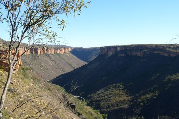 Oorlogskloof Rock Pigeon Trial