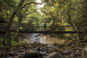 Magoebaskloof Hiking Trail