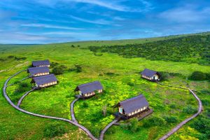 Gorah Elephant Camp