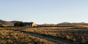 Sneeuberg Nature Reserve
