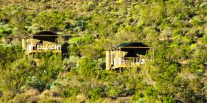 Agama Tented Camp